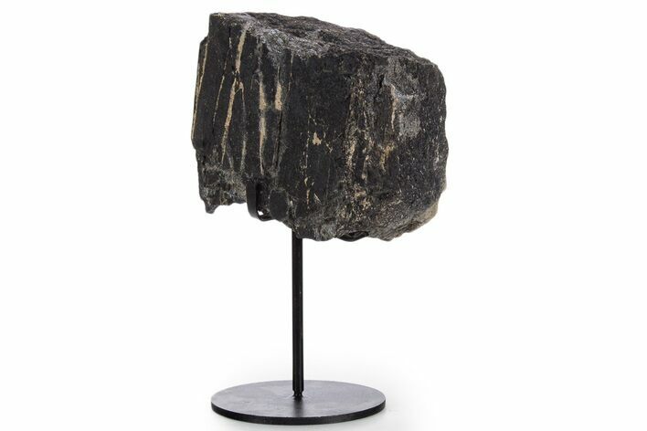 Fossil Sauropod Rib Bone Section w/ Metal Stand - Colorado #340122